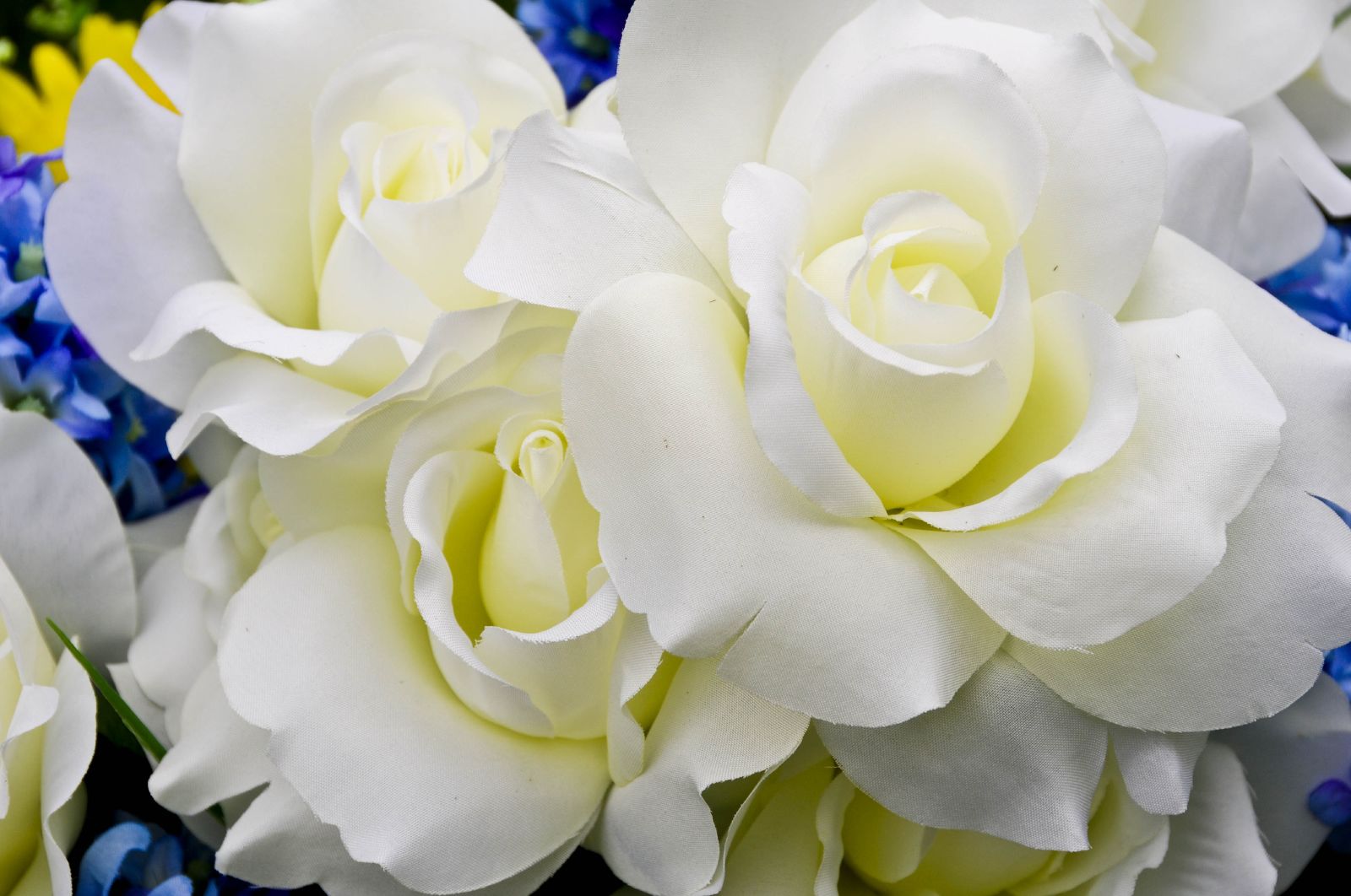 Essentieel verzet: van de Witte Roos tot de kritische journalistiek